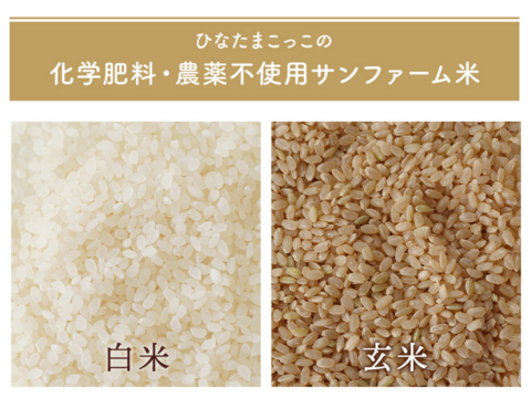 【お試し新発売！！】最高のたまごかけご飯の誕生♪♪「もみじたまごＭ10個」と【令和7年度新米】「サン・ファーム米（玄米2kg）」【通年常温便】★化学肥料及び農薬：栽培期間中不使用