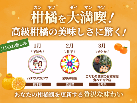 【限定200セット】冬の高級柑橘フルコース便🍊（食べチョク公式）