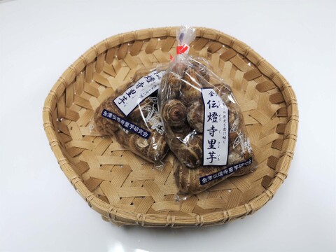 農薬化学肥料不使用 品種改良されていない 金沢の伝統野菜 「伝燈寺里芋」2袋