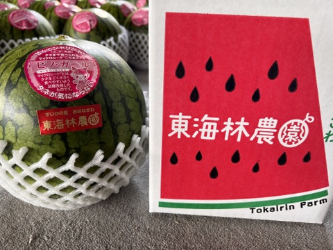 【夏ギフト】2024年　予約品　
種も食べられちゃうすいか🍉
ピノ・ガール　秀品２個入り１箱