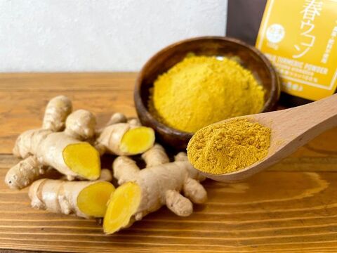 【賞味期限間近セール！】《１００g》手軽に健康茶やお料理に！自然栽培 春ウコンパウダー 沖縄県産
