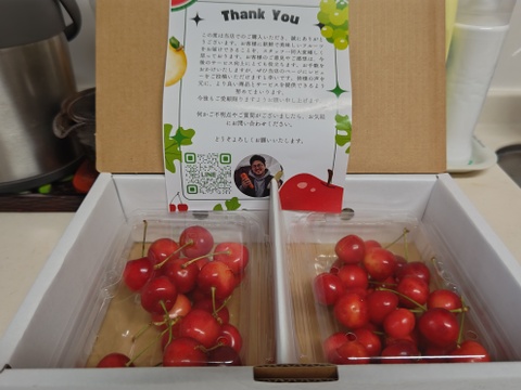 訳あり 常温便】即日発送 採れたて さくらんぼ 訳あり佐藤錦 紅秀峰
