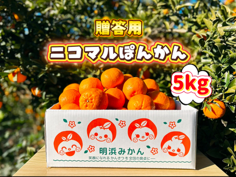 【愛媛県産】季節限定　甘味がギュッと詰まったポンカン　贈答用　5ｋｇ