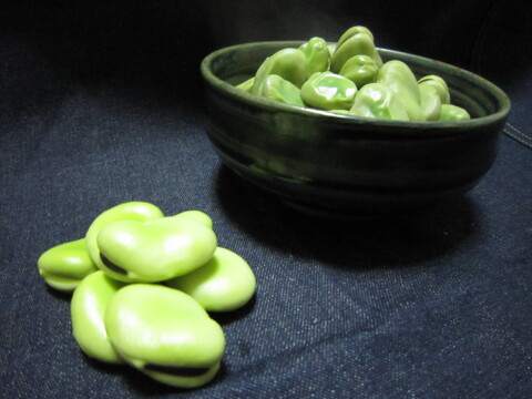 南国の春をご家庭で！鹿児島県指宿市『寒甘豆®️』(いぶすき陵西)約2kg