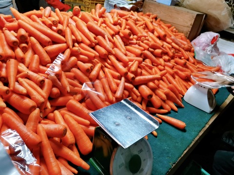 笑顔にんじん10キロ