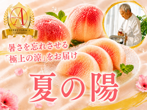 【真夏の主役桃】盛夏のエネルギーを閉じ込めた濃厚なコクと芳醇な香り『夏の陽』🍑品種指定キャンペーン🍑お試し約1.5kg【朝どれ】高級もも☆家庭用・贈り物にも贅沢お中元ギフト【7月下旬予約】