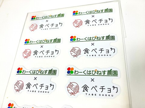 ★５月販売分　野菜セット【コラボステッカーつき！】