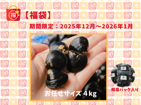 【福袋】漁師直送！宍道湖産ヤマトシジミ・冷凍4kg（ご家庭用・お任せサイズ）