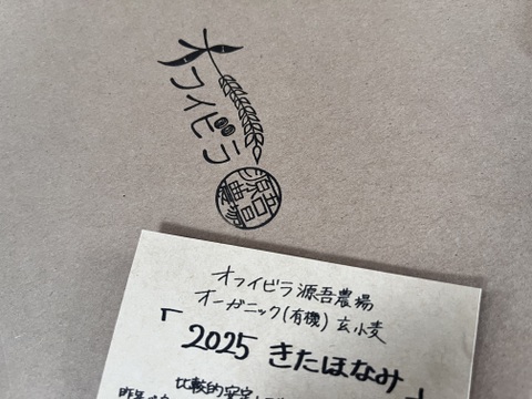 きたほなみ900g　オーガニック（有機）玄小麦2025年産　※小麦粉じゃありません