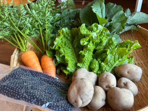 奥出雲産自然栽培野菜セット