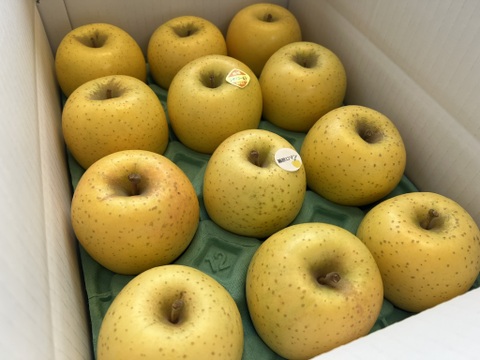 【黄色いりんご食べ比べ】　シナノゴールド・藤原ロマン　家庭用小玉 約3kg（11～14玉）