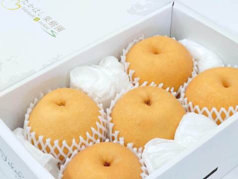 果汁たっぷり!新興梨 大玉 約3.3kg 化粧箱入り