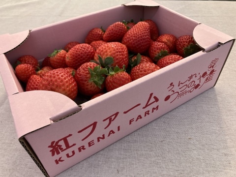 【規格外】とちあいか・たっぷり約1kg