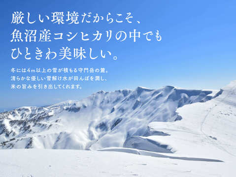 【冬ギフト】【数量限定】令和7年新米🌾魚沼産コシヒカリ「雪の恵」5kg ｜ご家庭用＆贈答用に！