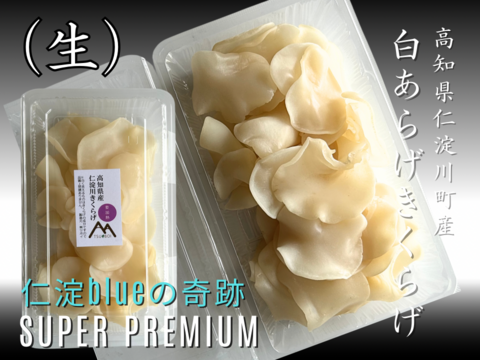 高知県仁淀川町産『生きくらげ』食べ比べセット｜奇跡の水で育てた”純白の贅沢”「白あらげきくらげ400g」｜「黒あらげきくらげ500g」季節限定｜数量限定でお届け｜