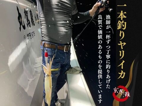 朝絞め!甘みと品があるヤリイカ 2杯入り 玄界灘 一本釣り
