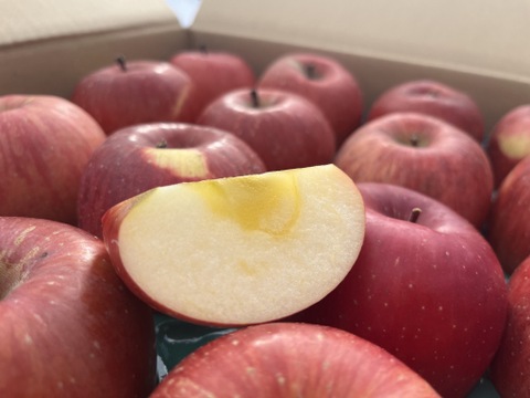 《予約商品》１月中旬～ 小傷 小玉サンふじ 5キロ箱 23～25玉 長野県産