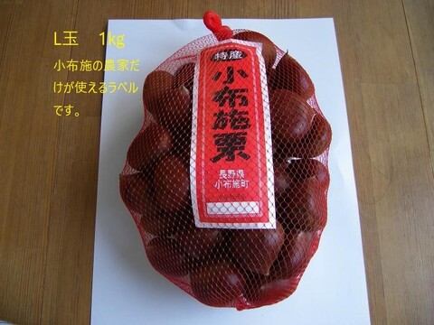 信州　小布施栗　Ｌ玉1キロ　銀寄/筑波等（中生品種）