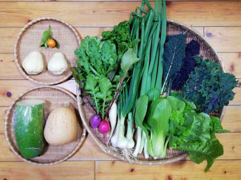 【農薬化学肥料不使用】おまかせ野菜セット【８種類以上の野菜】【金曜日発送】【あわせ買い可】【熨斗(のし)対応可】【８０サイズ箱】