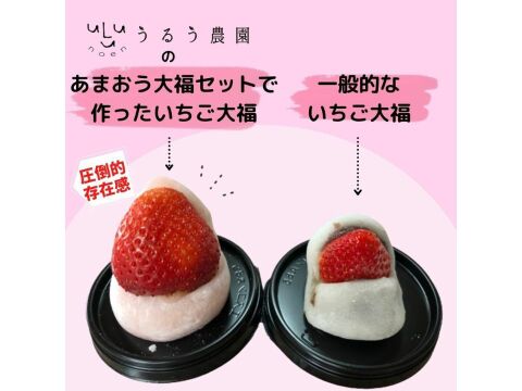 あまおう大福セット２箱【冬ギフト】