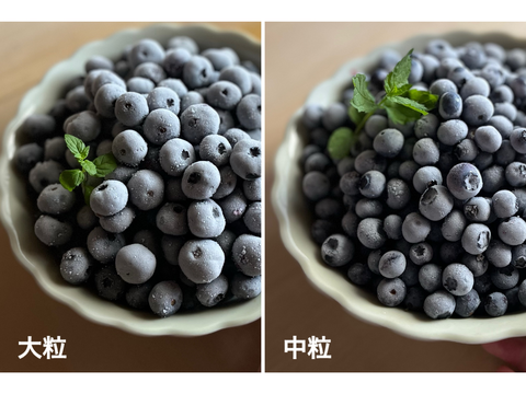 長野県産【冷凍ブルーベリー】農薬・除草剤不使用 【中粒】2kg