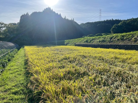 【令和7年産 新米】ふっくら甘みのある！「奈良県産コシヒカリ」白米 10kg