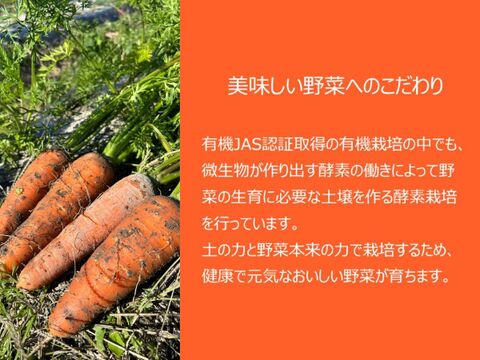 有機JAS認証取得『有機にんじんパウダー 50g × 2袋』 野菜 パウダー オーガニック 農薬無散布 無添加
