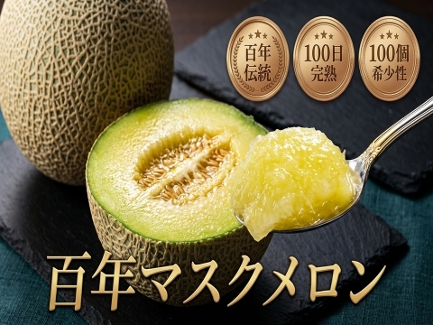 🍈農業王国が生んだ百年マスクメロン🍈【お中元ギフト】農業算出額日本一100年の伝統が生んだ奇跡の結晶『百年マスクメロン』『贈答・家庭用にも』【7月下旬予約】