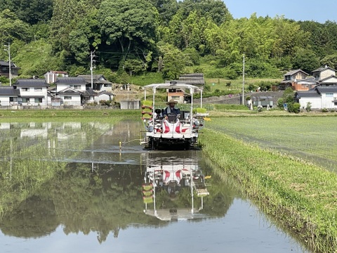 🟢令和6年産　新米🟢　特別栽培米🌾きぬむすめ10kg（精米後9kg）