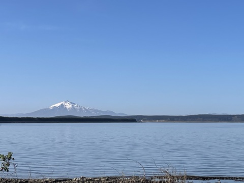 旨みがギュッとつまった！十三湖産大和しじみ冷凍1kg