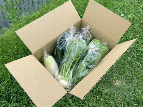 山のミネラルたっぷり野菜セット＜葉物多め＞２～３人用