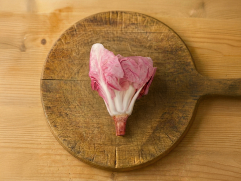 北イタリア生まれの華やかな苦味野菜／チコリア・ローザ（Cicoria Rosa）／
1個（約150〜200g前後）