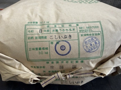 お手頃価格の新潟米を精米して食べたい方向け】令和8年産 こしいぶき