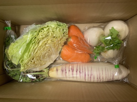 【自然栽培】4品目お試し旬のお野菜セット