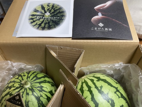 高知県産スイカ大玉、即購入OK 高知県産すいか大玉、即購入OK - メルカリ