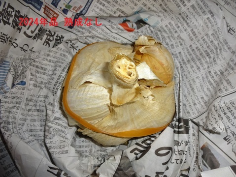 【今が旬】大きさと味に感動！安心安全の農法で育てたジャンボにんにく【一房】