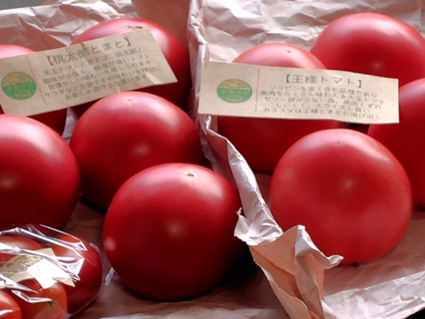 今が旬♪夏の王様トマト🍅赤熟もぎりの【麗月】８〜９玉詰め！ ６０size箱 約１.３キロ