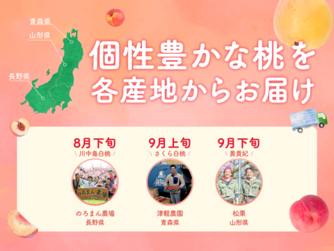 【食べチョク旬の食べ比べ便】川中島白桃