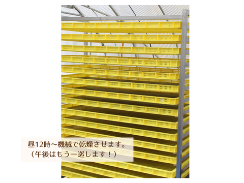 【新登場🍠】ほどよい甘みでパクパク食べられる！ほしいも「べにはるか平干し」200g×3袋　メール便発送