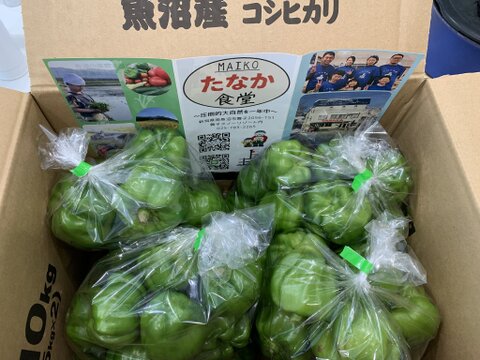 神楽南蛮（かぐらなんばん・とうがらし）２０００ｇ