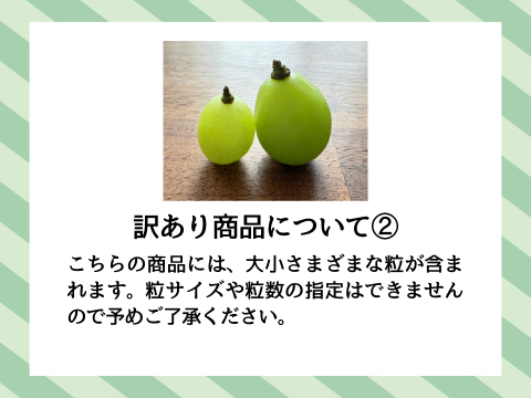 訳あり！お得な粒の『シャインマスカット』約2kg