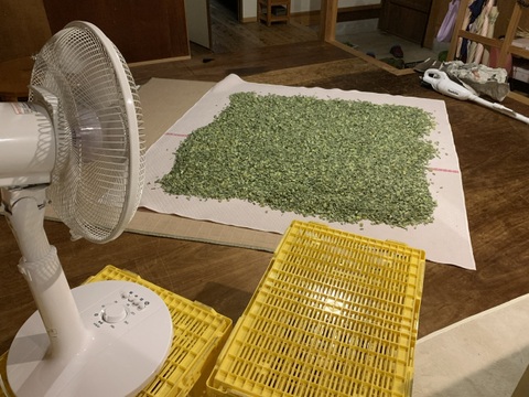 奥出雲産自然栽培まこも茶(大容量500g)