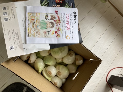 新玉ねぎ5kg 🅱️ 🅱️🧅数量限定‼️淡路島極熟玉葱　今が旬‼️ 特別栽培農産物　シャーロットオニオン