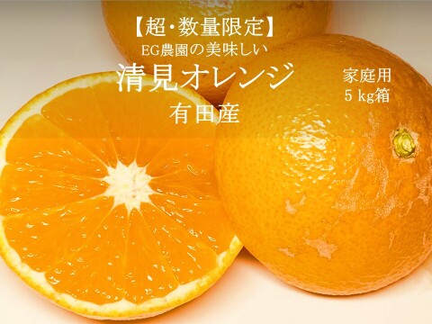 【初解禁！】糖度最高クラス！清見オレンジ 有田産 5キロ箱 和歌山県 有田 2S~3Lサイズ　家庭用キズあり
