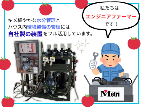 ★2㎏★秘密にしたい?!ミニトマト『ヒミツのミニ』約2kg（250gx8p）