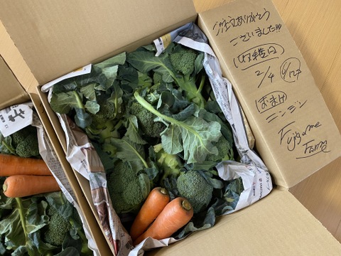 赤城の寒締めブロッコリー！12コ入り(約3.8kg）※化学農薬不使用