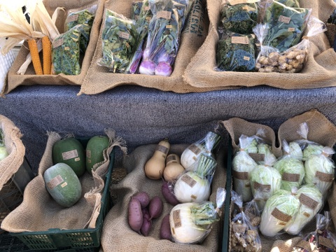 【贈り物にも！】菊芋入り/彩り豊かな野菜の秋冬野菜10種類前後/めずらしい野菜も入ってるかも？【農薬・化学肥料不使用】