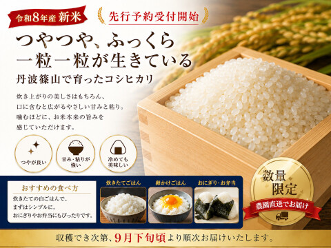 【令和8年産 新米・先行予約】丹波篠山産 コシヒカリ 10kg 2026年産・農園直送 ご家庭用 新米 特 コシヒカリ こしひかり 10㎏ 数量限定 お米 米
