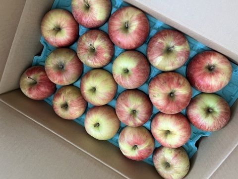 プライスダウン！！信州りんご🍎C品8キロ