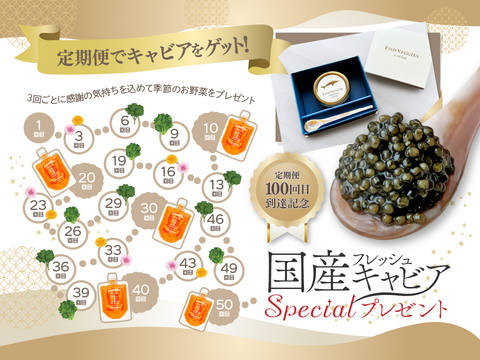 新鮮！採れたて！農薬・化学肥料不使用！ケールとレタスの定期便 6個セット
